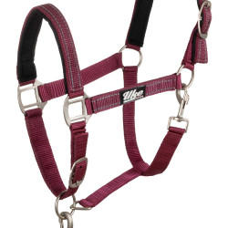 Licol Synthétique avec Longe Reflective Supreme Bordeaux