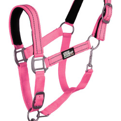 Licol Synthétique avec Longe Reflective Supreme Rose Licol Synthétique avec Longe Reflective Supreme Rose