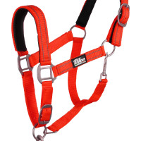 Synthetisch Halster met Reflecterende Lijn Supreme Zwart Synthetisch Halster met Reflecterende Lijn Supreme Zwart