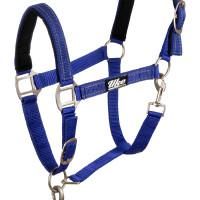 Licol Synthétique avec Longe Reflective Supreme Bleu royal Licol Synthétique avec Longe Reflective Supreme Bleu royal