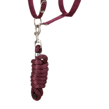 Licol Synthétique avec Longe Reflective Supreme Bordeaux