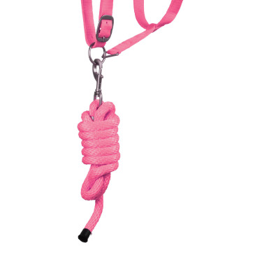 Licol Synthétique avec Longe Reflective Supreme Rose Licol Synthétique avec Longe Reflective Supreme Rose