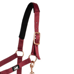 Licol en Nylon Rose Gold Line avec Longe Supreme Bordeaux