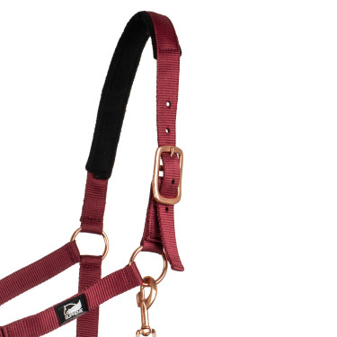 Licol en Nylon Rose Gold Line avec Longe Supreme Bordeaux