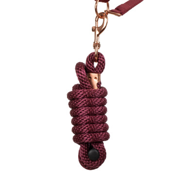 Licol en Nylon Rose Gold Line avec Longe Supreme Bordeaux