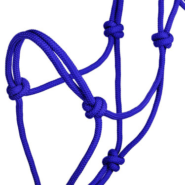Licol éthologiques en Corde Nouée Pool's Bleu royal