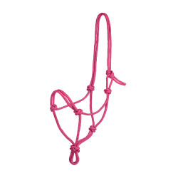 Licol éthologiques en Corde Nouée Pool's Rose