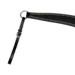 Collier de chasse Basket/Spots Pool's Noir Collier de chasse Basket/Spots Pool's Noir