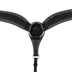 Brustblatt Basket/Spots Pool's Zwart