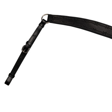 Collier de chasse Barbwire Pool's