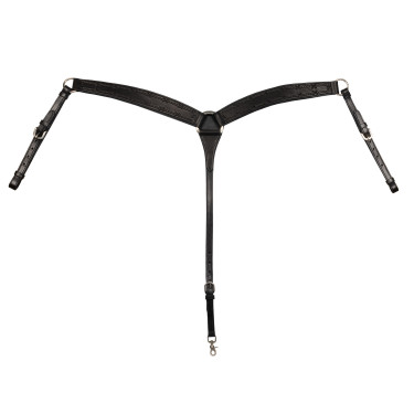 Collier de chasse Barbwire Pool's