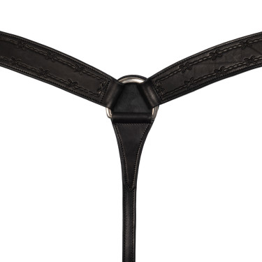 Collier de chasse Barbwire Pool's