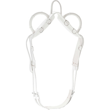 Voltigesingel Norton Voltigesingel Norton