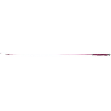 Cravache de dressage Whip & Go Points Bordeaux