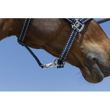 Licol Norton Grooming Bleu marine