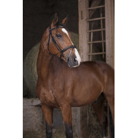 Bridon Norton Pro Combinée Noir