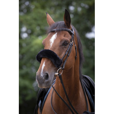 Neusriemhoes Equithème Teddy Zwart