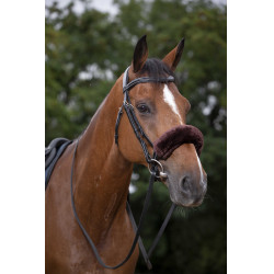 Neusriemhoes Equithème Teddy Bruin