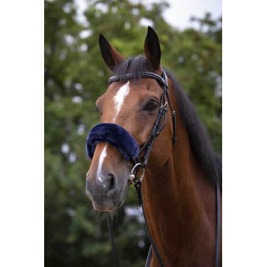 Neusriemhoes Equithème Teddy Marineblauw