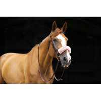 Neusriemhoes Equithème Teddy Marineblauw