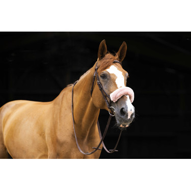 Neusriemhoes Equithème Teddy Roségoud