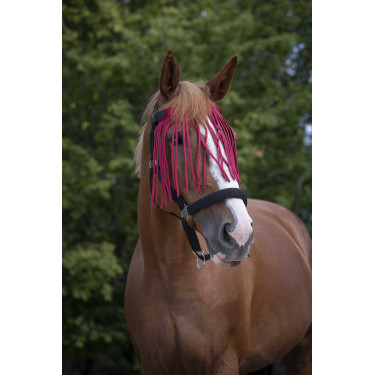 Frontale vliegenbeschermer Norton Rood