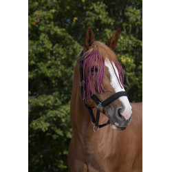 Frontal chasse-mouches Norton Bordeaux Frontal chasse-mouches Norton Bordeaux