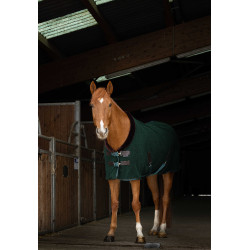Chemise polaire Equithème Teddy Vert / marron