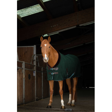 Chemise polaire Equithème Teddy Vert / marron