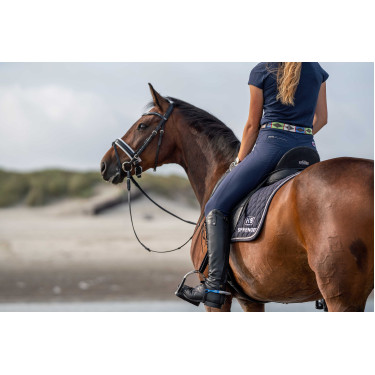 Sprenger FairRider platte sporen Blauw / zilver