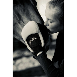 Gant de pansage Pénélope Noir Gant de pansage Pénélope Noir