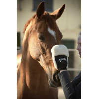 Poetsenhandschoen Pénélope Zwart