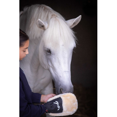 Gant de pansage Pénélope Noir Gant de pansage Pénélope Noir