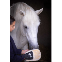 Poetsenhandschoen Pénélope Zwart