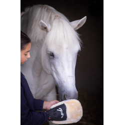 Poetsenhandschoen Pénélope Zwart Poetsenhandschoen Pénélope Zwart
