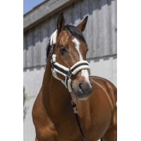 Halster Norton Cosy Zwart Halster Norton Cosy Zwart