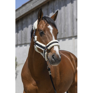 Halster Norton Cosy Zwart