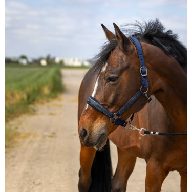 Halster Equithème Nylon Strass