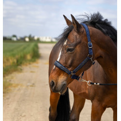 Licol Equithème Nylon Strass