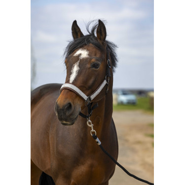 Licol Equithème Nylon Check Licol Equithème Nylon Check