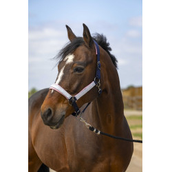 Licol Equithème Nylon Check Licol Equithème Nylon Check