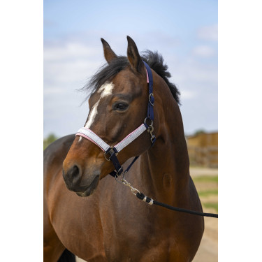 Licol Equithème Nylon Check Licol Equithème Nylon Check