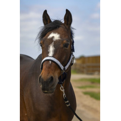 Licol Equithème Nylon Check Licol Equithème Nylon Check