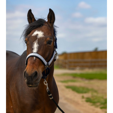 Licol Equithème Nylon Check Licol Equithème Nylon Check