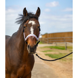 Licol Equithème Nylon Check