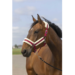 Halster Equithème Nylon Schapenvacht Bordeaux / wit Halster Equithème Nylon Schapenvacht Bordeaux / wit