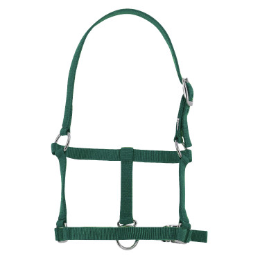 Licol foal Riding World Vert foncé Licol foal Riding World Vert foncé