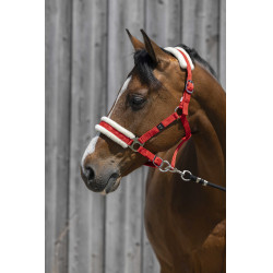 Licol Riding World mouton synthétique Rouge Licol Riding World mouton synthétique Rouge