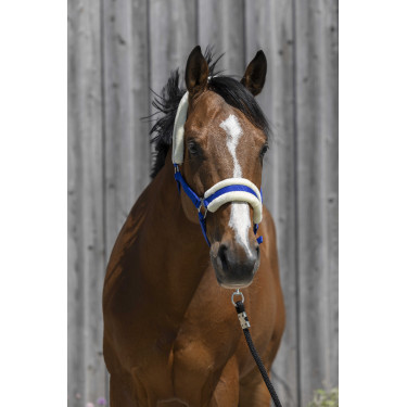 Halster Riding World synthetische schapenvacht Koningsblauw