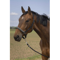 Licol Equithème Nylon Chevron Noir